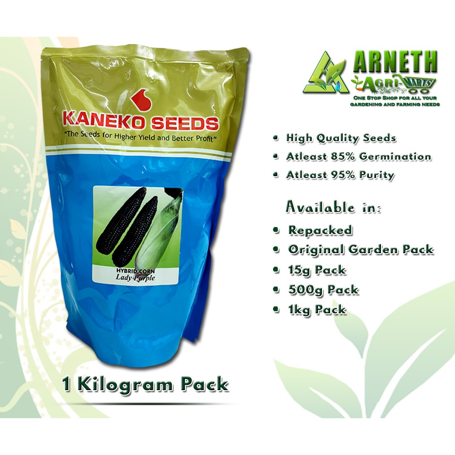 KANEKO LADY PURPLE VARIETY HYBRID CORN SEEDS (1KG PACK) Shopee