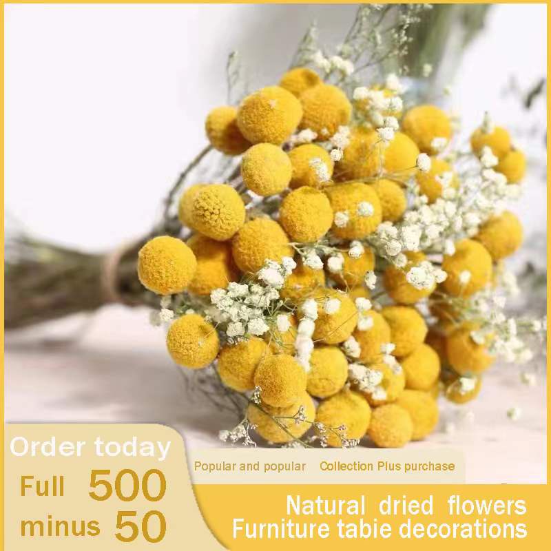 Dried flower /Dried craspedia balls / vase arrangement Shopee Philippines