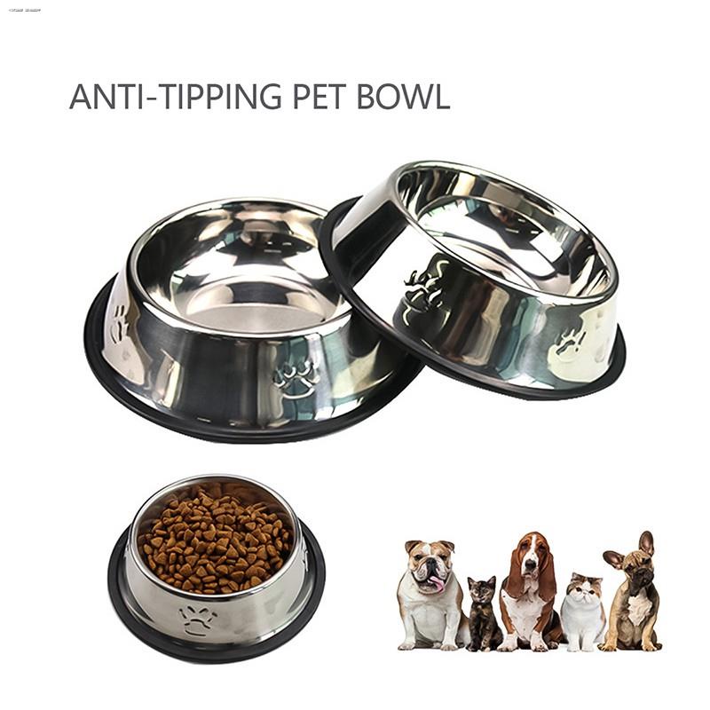 Is Stainless Steel Toxic To Dogs