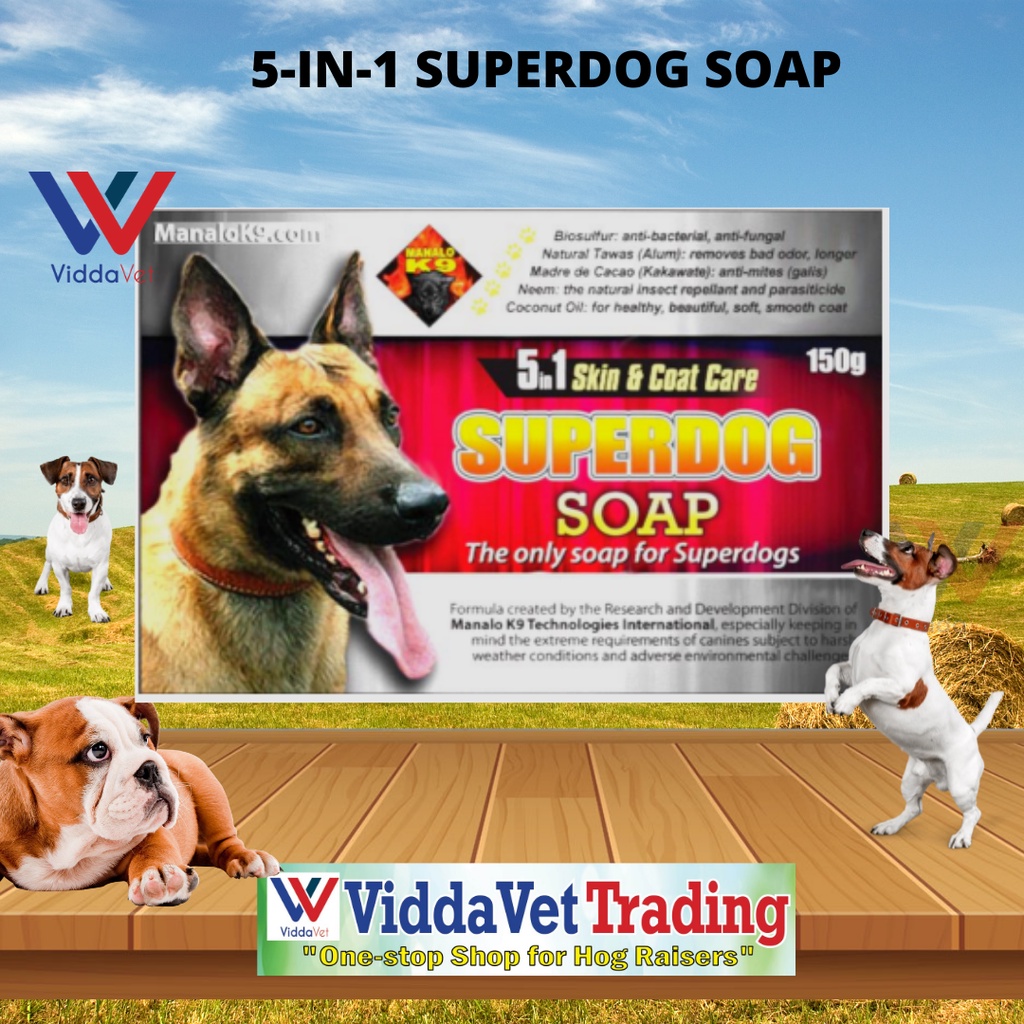 Is Alum Harmful To Dogs