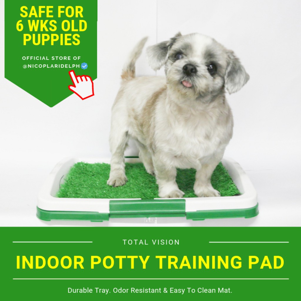 Portable Training Pad with Artificial Grass and Pee Pads on Tray Design