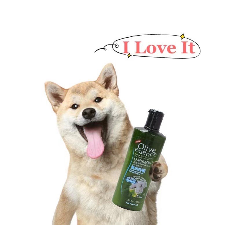 Will Olive Oil Kill Fleas On Dogs
