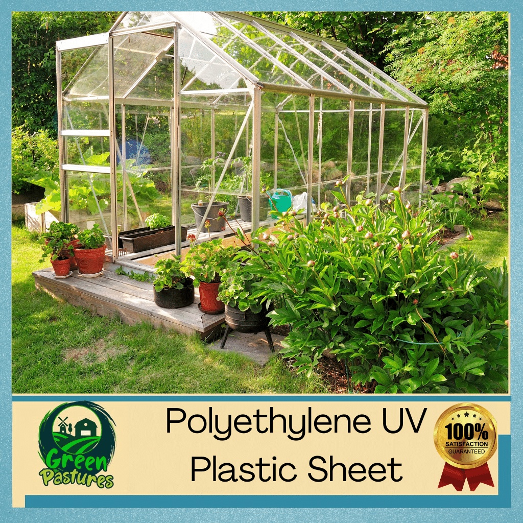 UV Plastic Sheet 8 mil 200 Microns 9ft x 5 Meter For Greenhouse