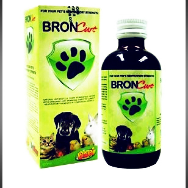 How To Treat Dog Cough