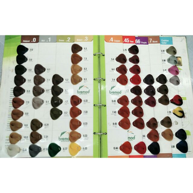 Bremod Hair Color Mixture Colorpaints.co