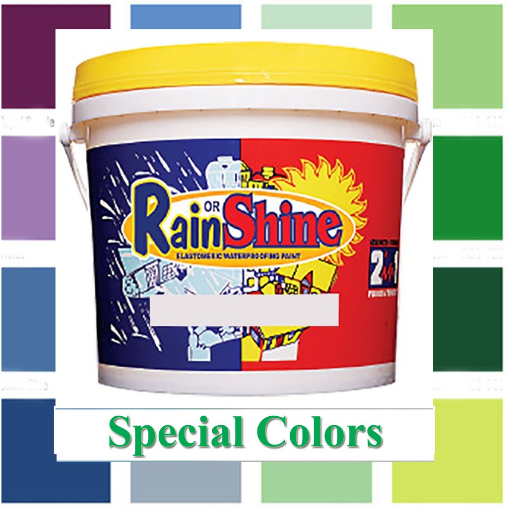 Rain or Shine Elastomeric Waterproofing Paint Gallon/ 4 Liters Special