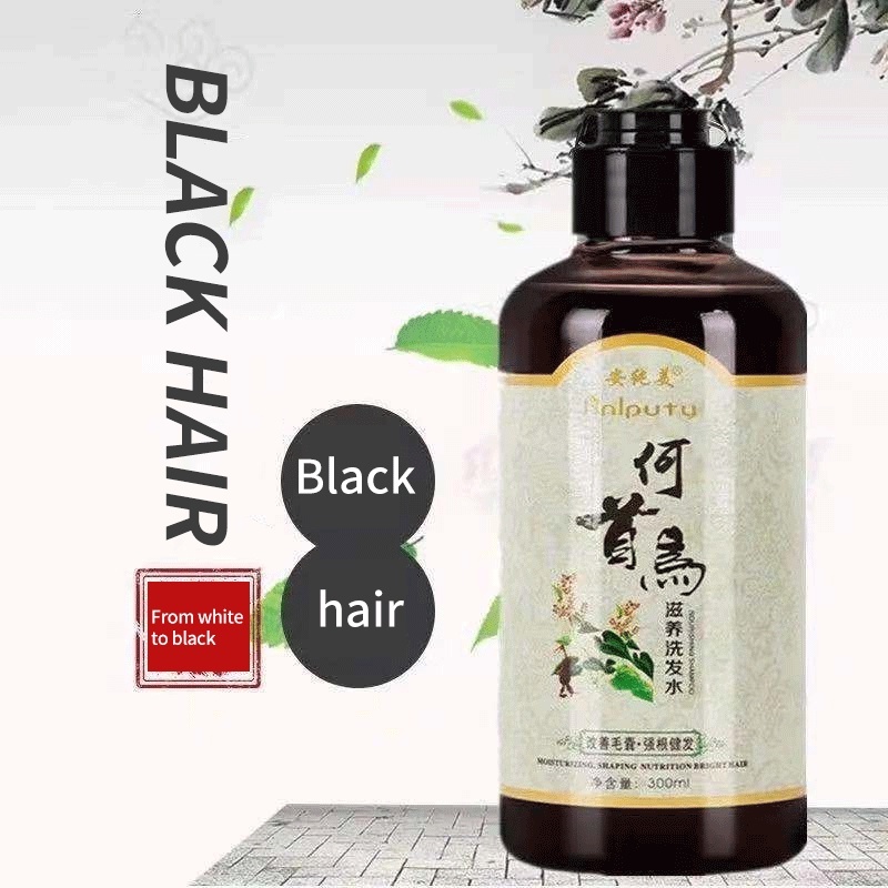 Black Hair Growth Shampoo Polygonum Multiflorum Shampoo Hair Care