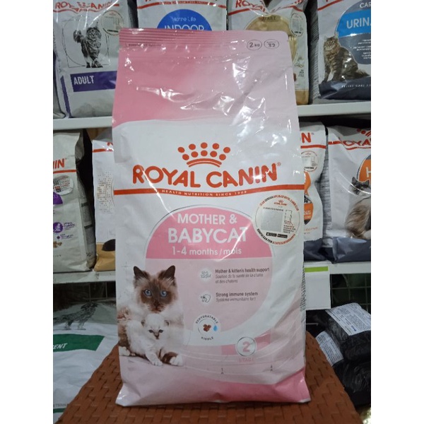 Royal Canin Baby Cat Food 2kg Moth Child Cat Food Shopee Philippines