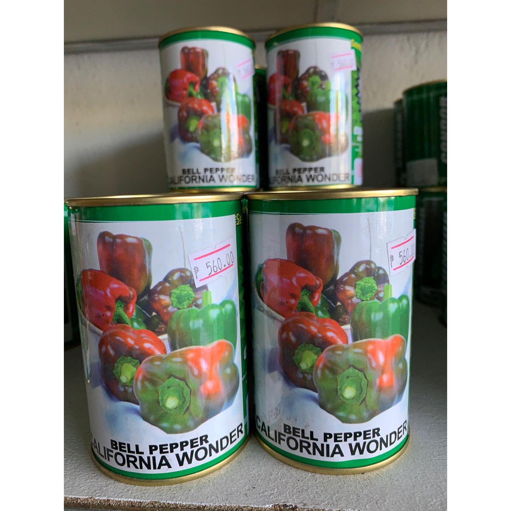 PEPPER BELL PEPPER CALIFORNIA WONDER 50GR CAN SEED CONDOR Shopee