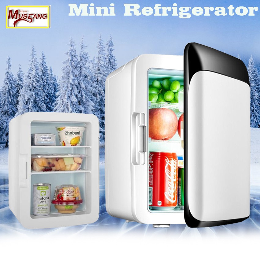 Portable Car / Home Mini 10L Electronic Cooling and Warming