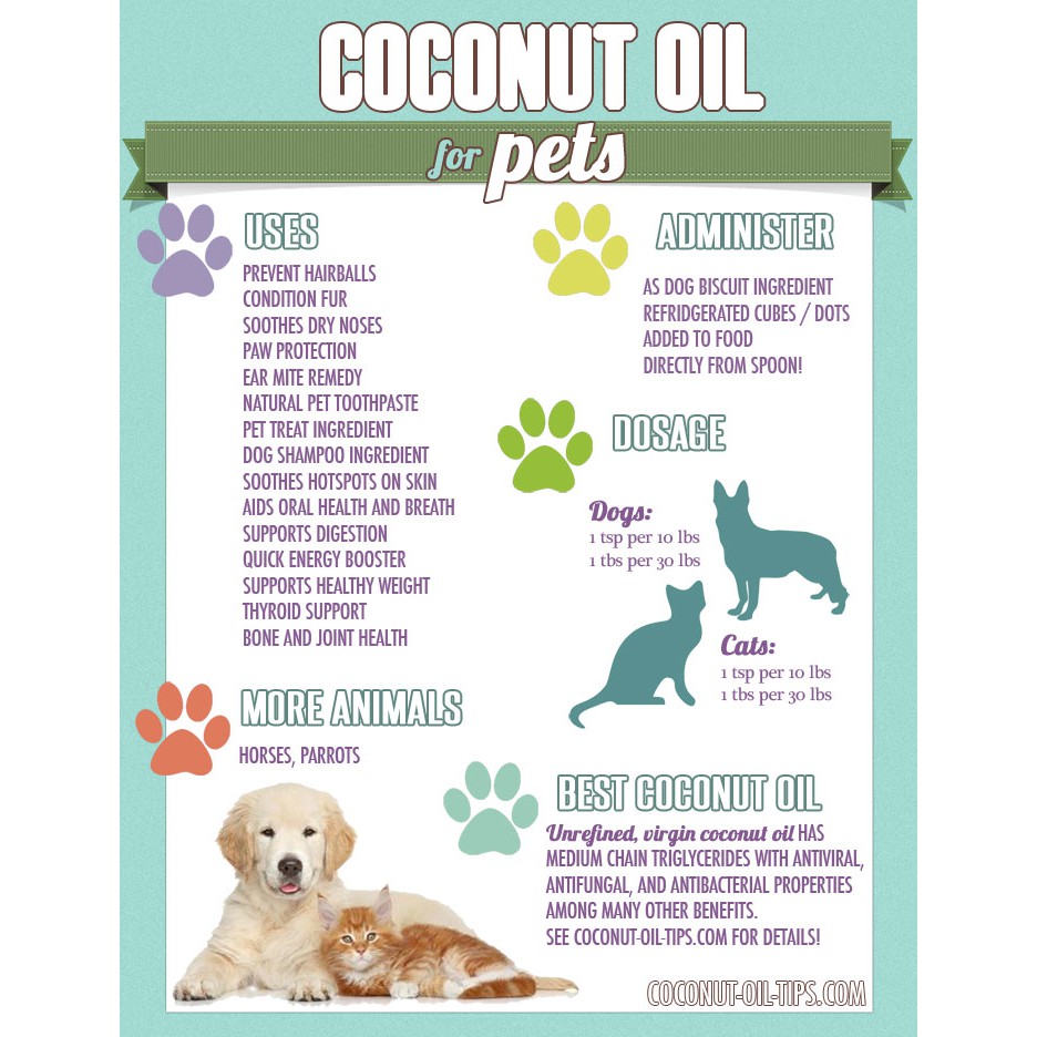 Is Virgin Coconut Oil Good For Dogs
