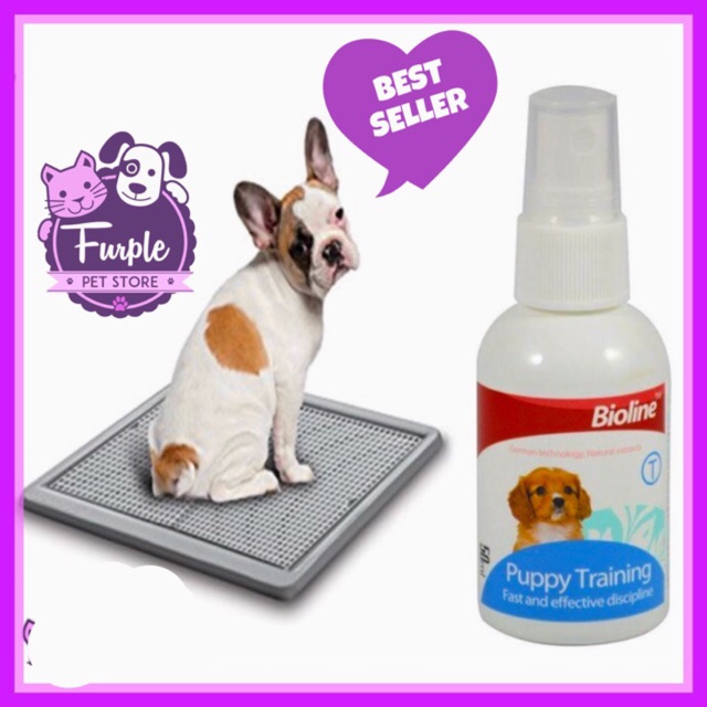 Pet Potty Training Spray Quotes Trending