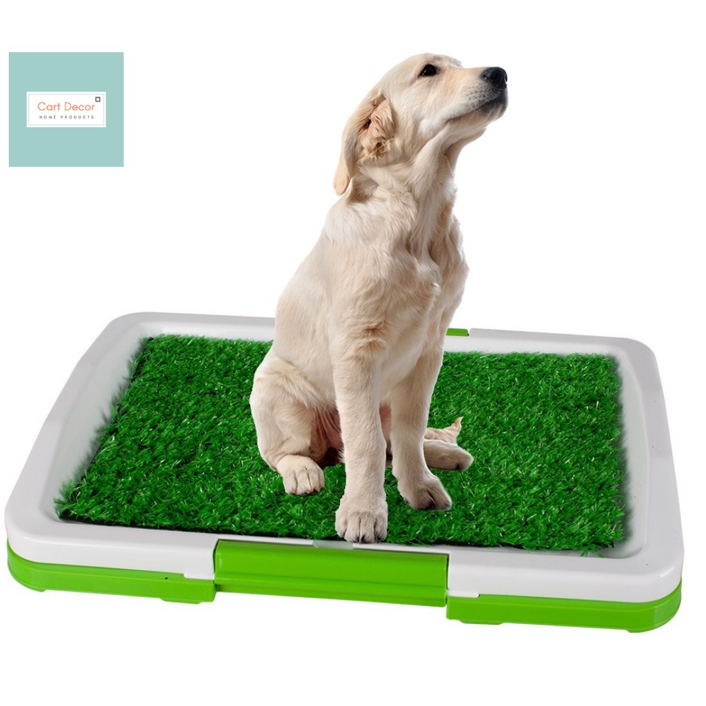 Puppy Potty Pad Perfect Pets Indoor Dog Toilet Training Shopee