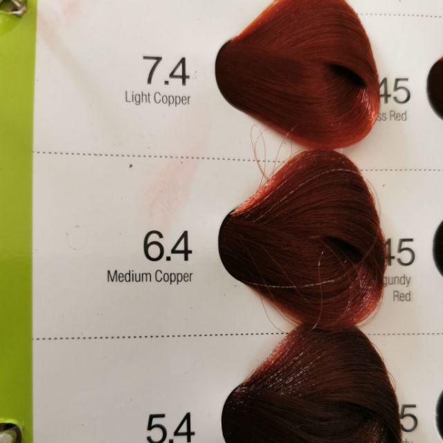 Medium Brown Bremod Hair Color Chart canvaslink