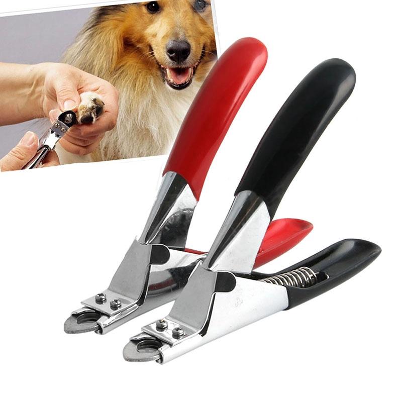 dog nail cutter Prices and Online Deals Jun 2021 Shopee Philippines