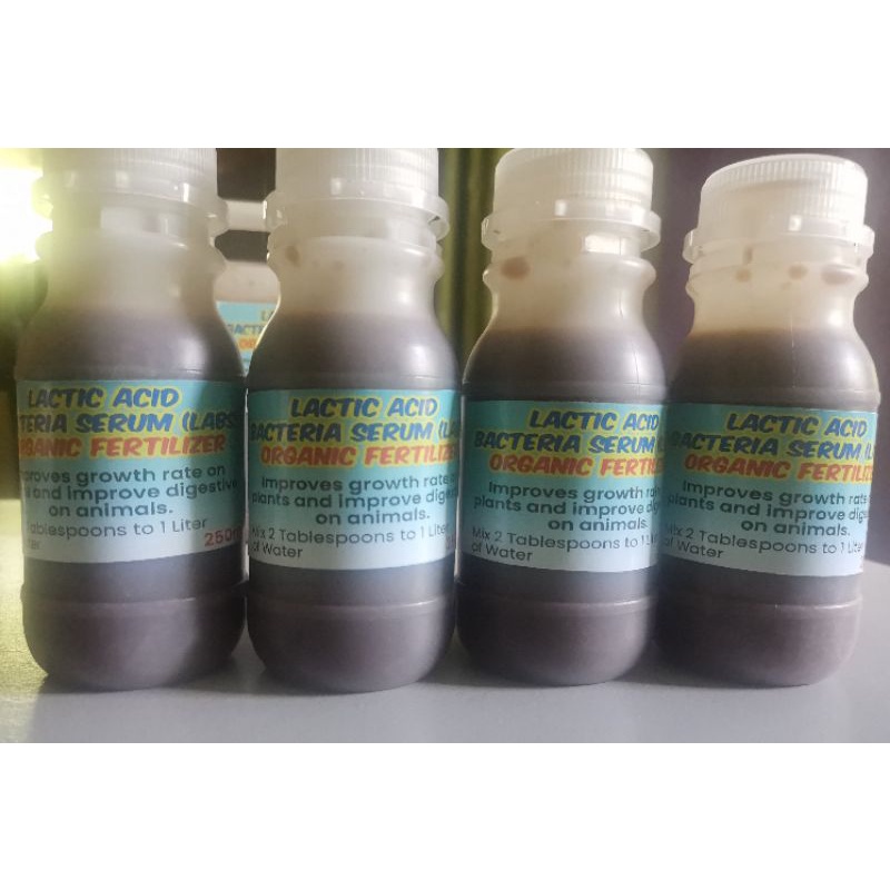 LABS Lactic Acid Bacteria Serum Shopee Philippines