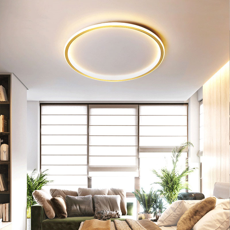 ING Modern Led Ceiling Light Home Led Chandelier Ceiling