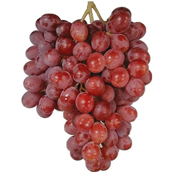 Grapes Rate Per Kg at Iva Peterson blog