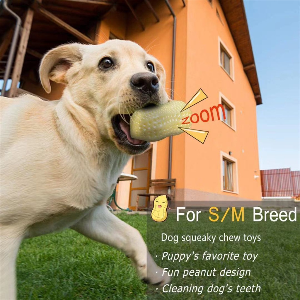 Can You Wash Dog Squeaky Toys