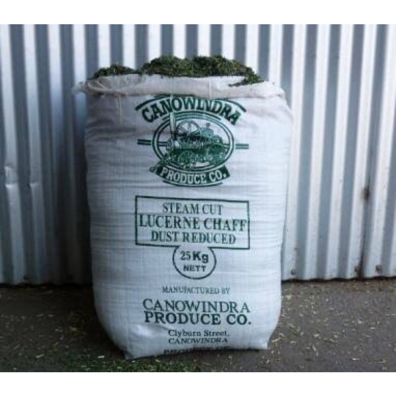 Alfalfa Hay 1kg for Rabbits and guinea pigs Shopee Philippines