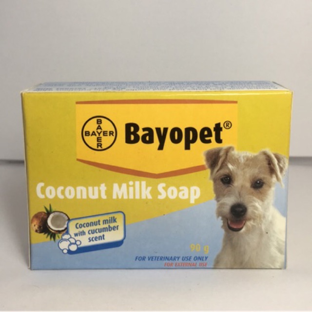Is Coconut Milk Good For Dogs Skin