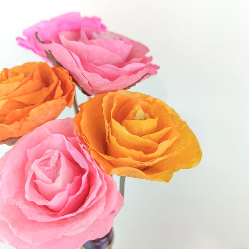 Dried Fossilized Rose (Small) Shopee Philippines