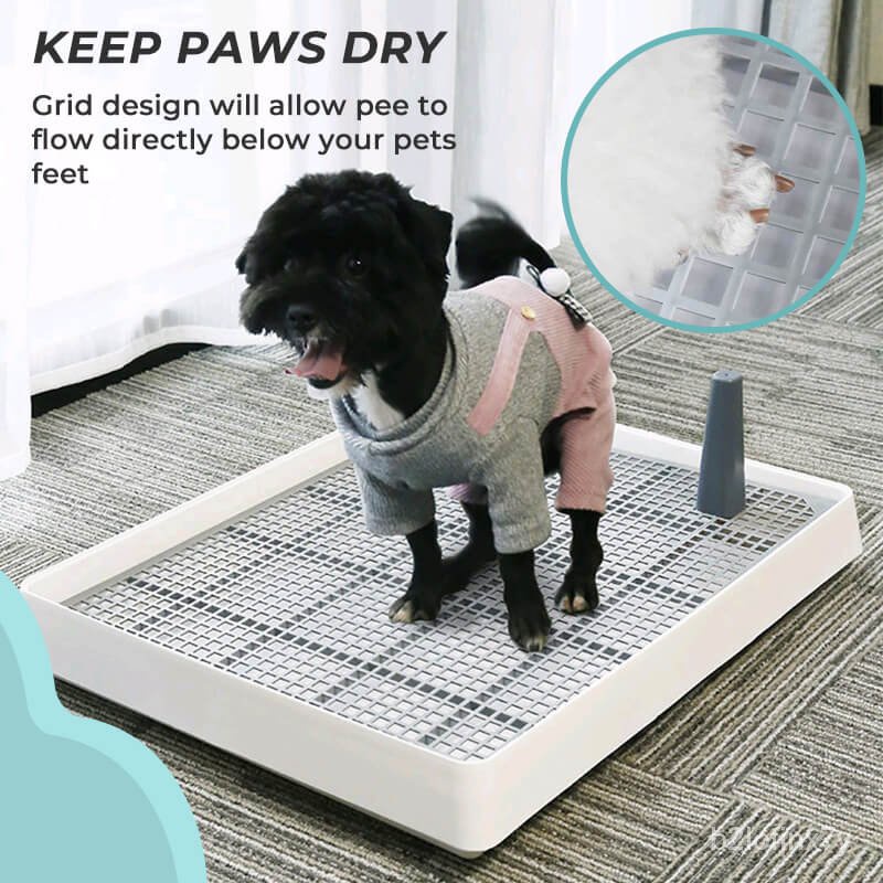 How Do You Litter Train A Small Dog