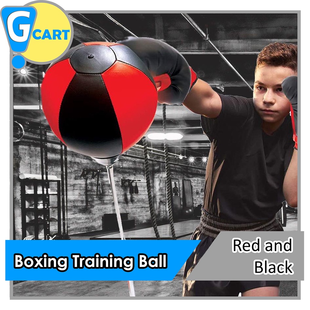 Boxing Training Ball for Kids and Adults Gym Equipment Shopee Philippines
