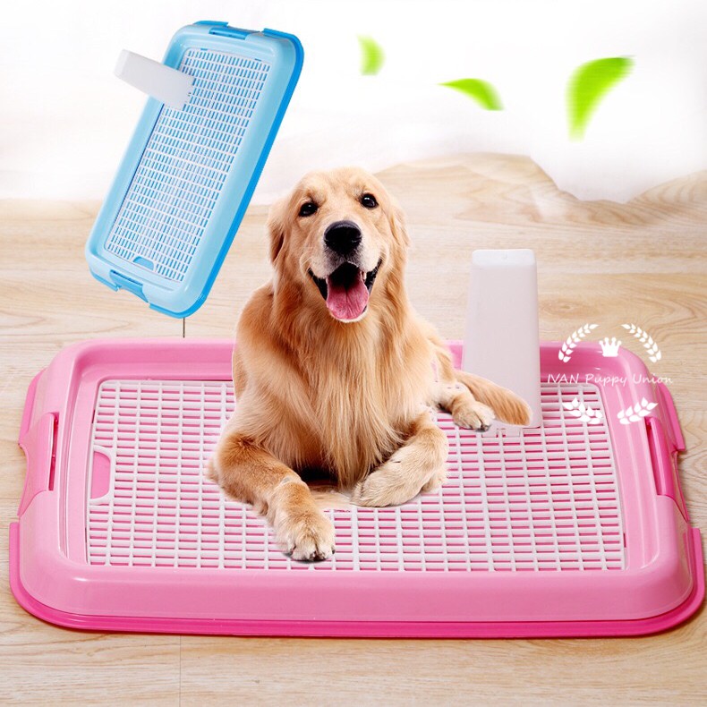[Fat Fat Cute Dog]Dog Training Potty Pad(Stand Included) Shopee Philippines