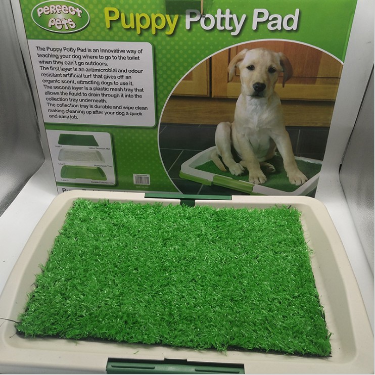 Indoor Puppy Potty Trainer Shopee Philippines