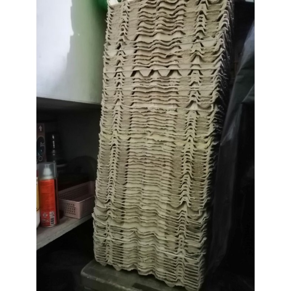 Egg Tray Carton 5 pcs Shopee Philippines