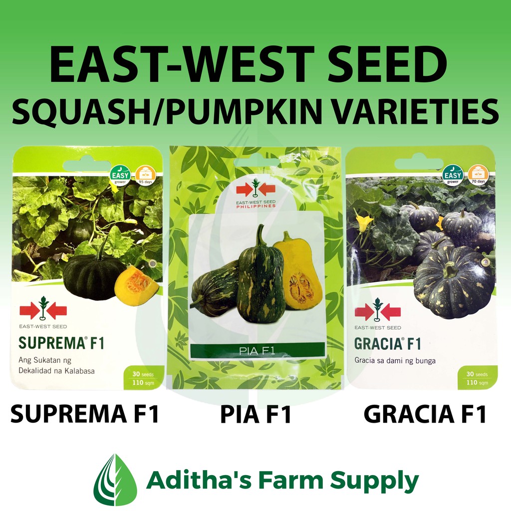EastWest Seed Squash/Pumpkin/Kalabasa Hybrid Varieties BeeCost