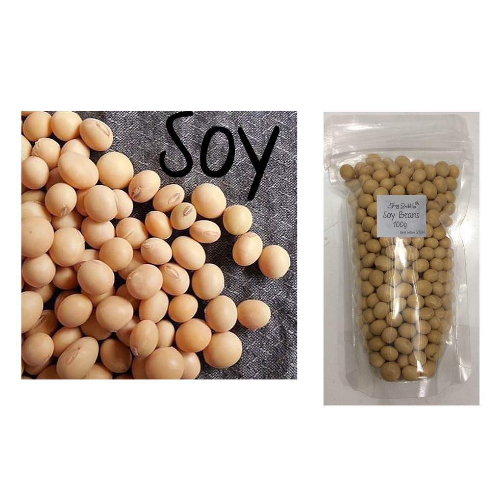 organic soy soya beans 100g Shopee Philippines