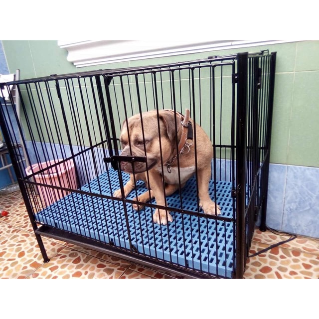Dog Cage heavyduty 1door Collapsible Shopee Philippines