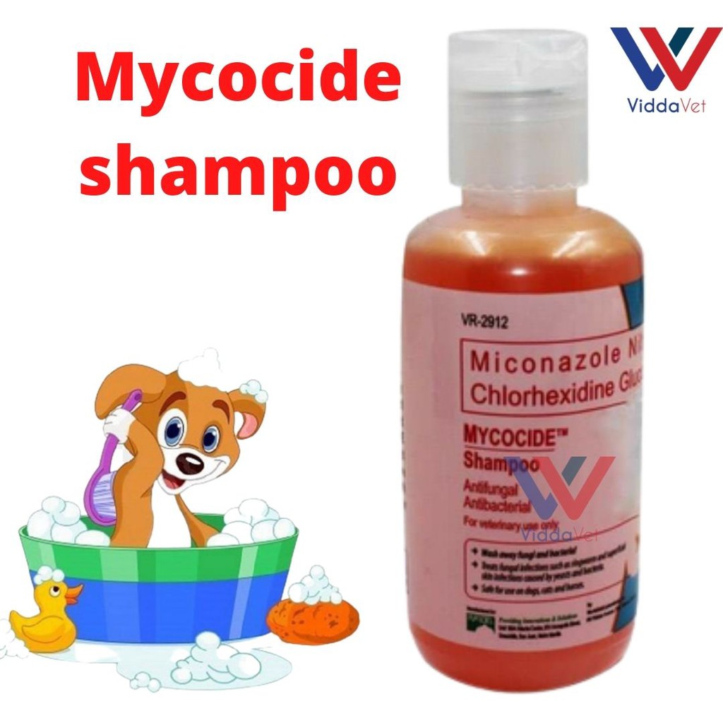 MYCOCIDE Shampoo Antifungal Antibacterial Miconazole Nitrate