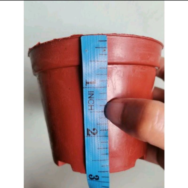 Terracota style plastic pots Shopee Philippines