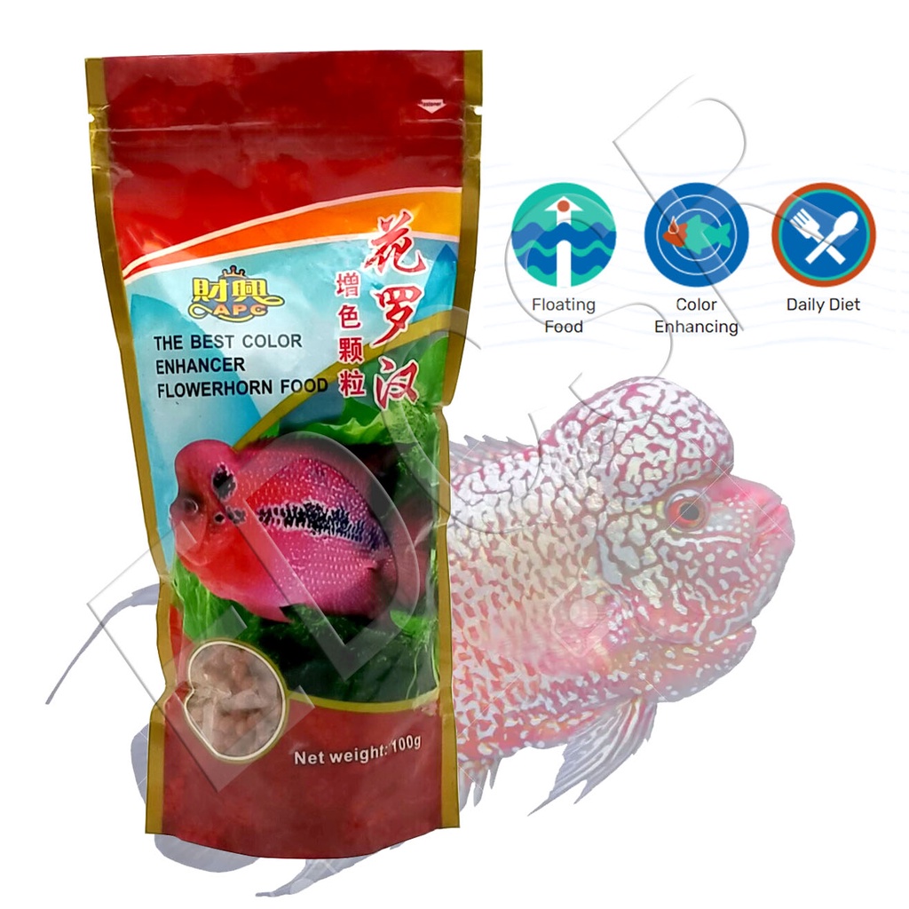 How Much Flowerhorn Fish In Philippines Best Flower Site