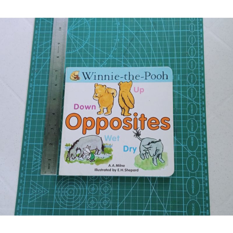 PRELOVED Opposites (WinniethePooh) Shopee Philippines