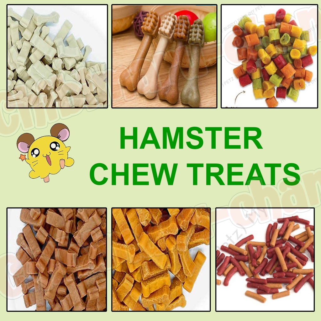 HAMSTER CHEW FOOD TREATS Shopee Philippines