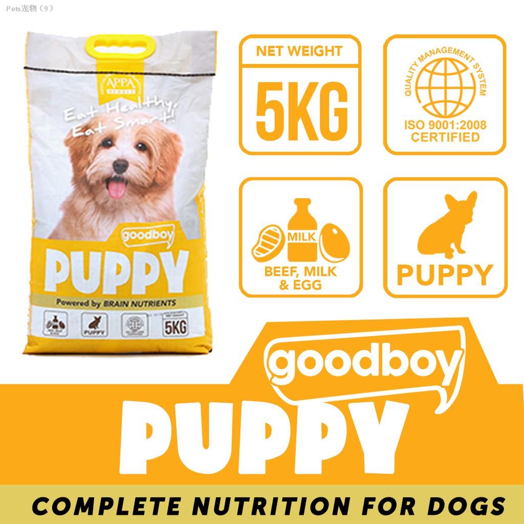 Are Eggs Good For Old Dogs