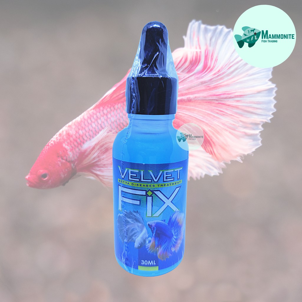 VELVET FIX Betta Disease Treatment 30mL Shopee Philippines