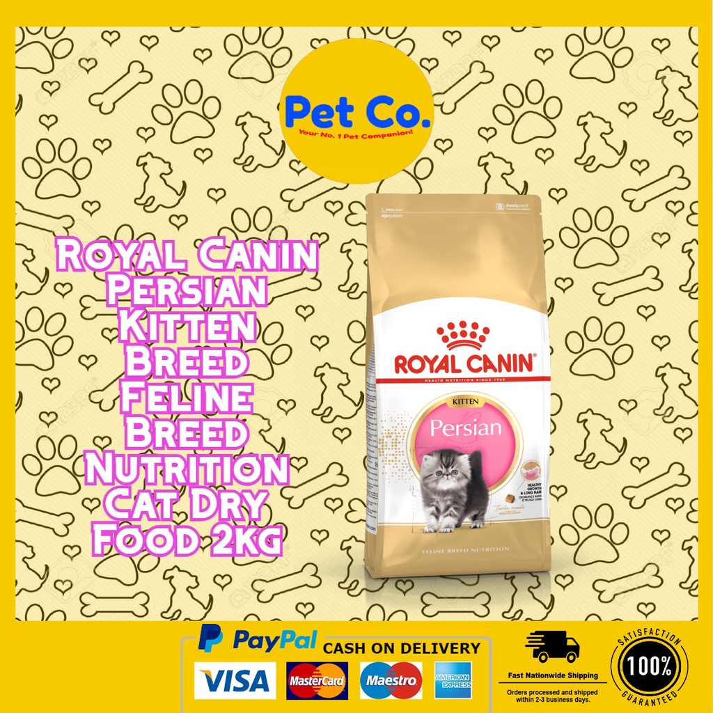 Royal Canin Persian Kitten Breed Feline Breed Nutrition Cat Dry Food