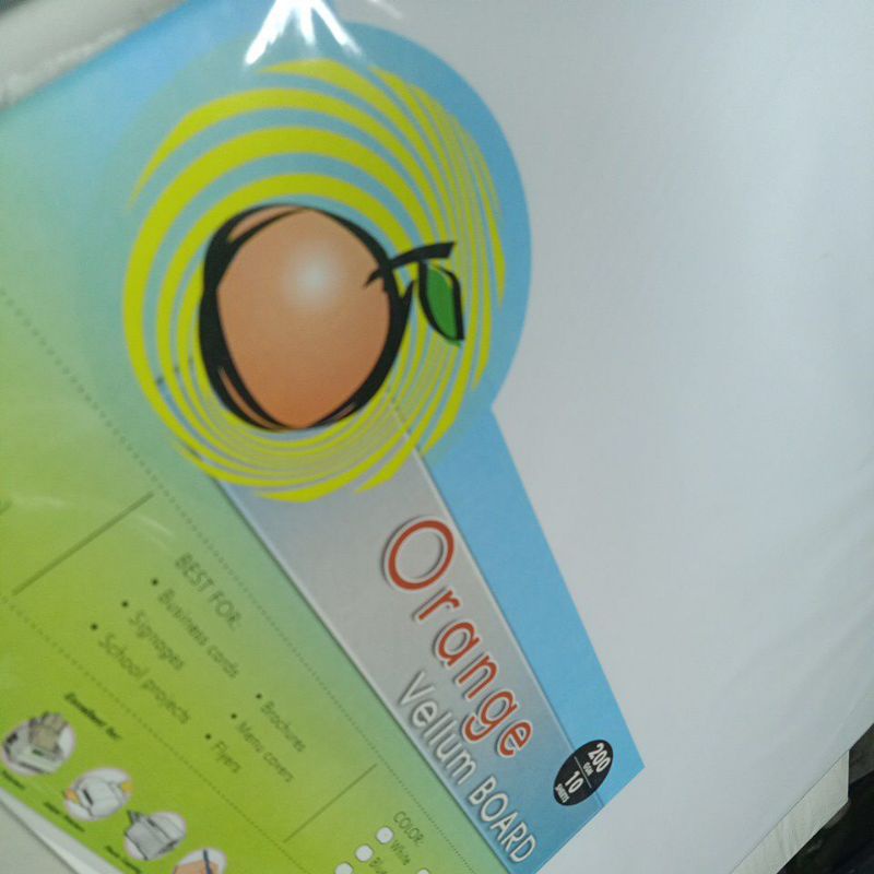 A3 Vellum Board 200 gsm Orange Shopee Philippines