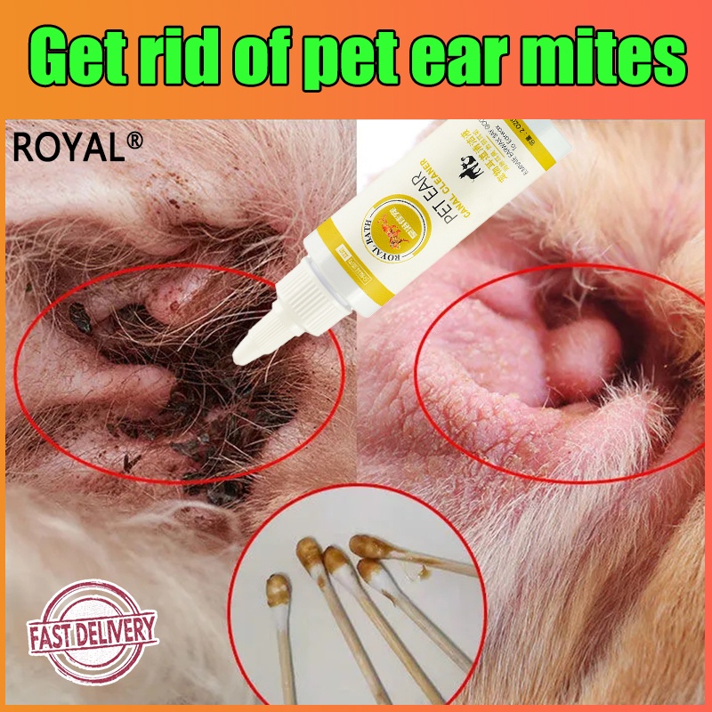 Anti Ear Mites Anti Fungal Antibiotic Ear Drops for Dogs and Cats