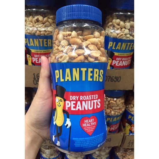 Planters Peanuts 453g (Dry Roasted,Unsalted Dry Roasted,Honey Dry