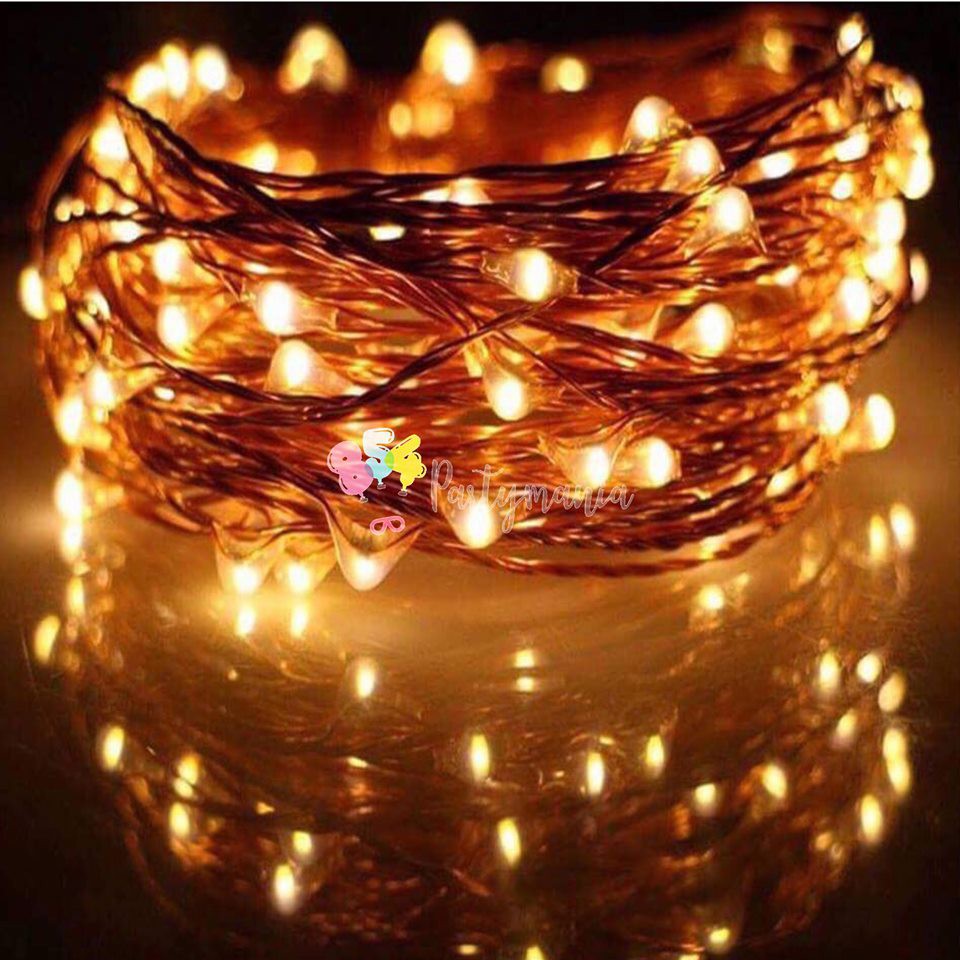 5M Fairy Light Party LED Small Ball String Light Christmas Wedding