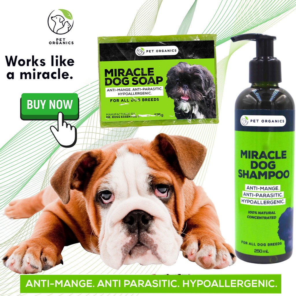 [BUNDLE SET] MIRACLE DOG SHAMPOO AND DOG SOAP anti mange anti