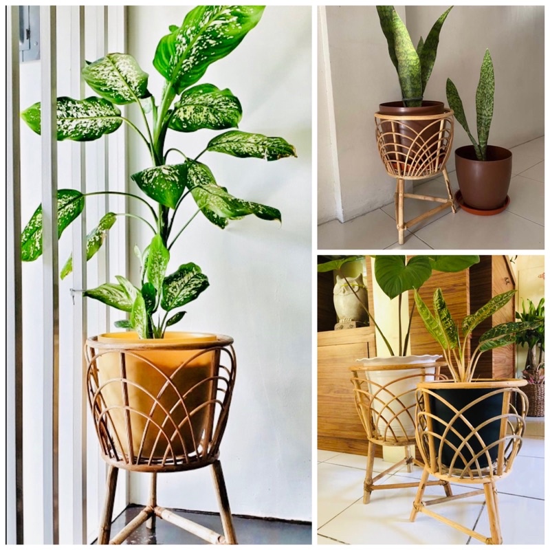 plant stand plant rack rattan plant stand Shopee Philippines