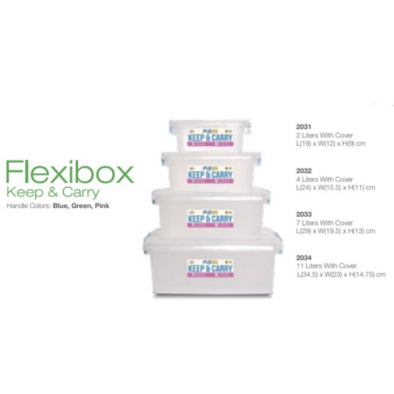 OROCAN Flexibox Keep & Carry / Storage Box Shopee Philippines