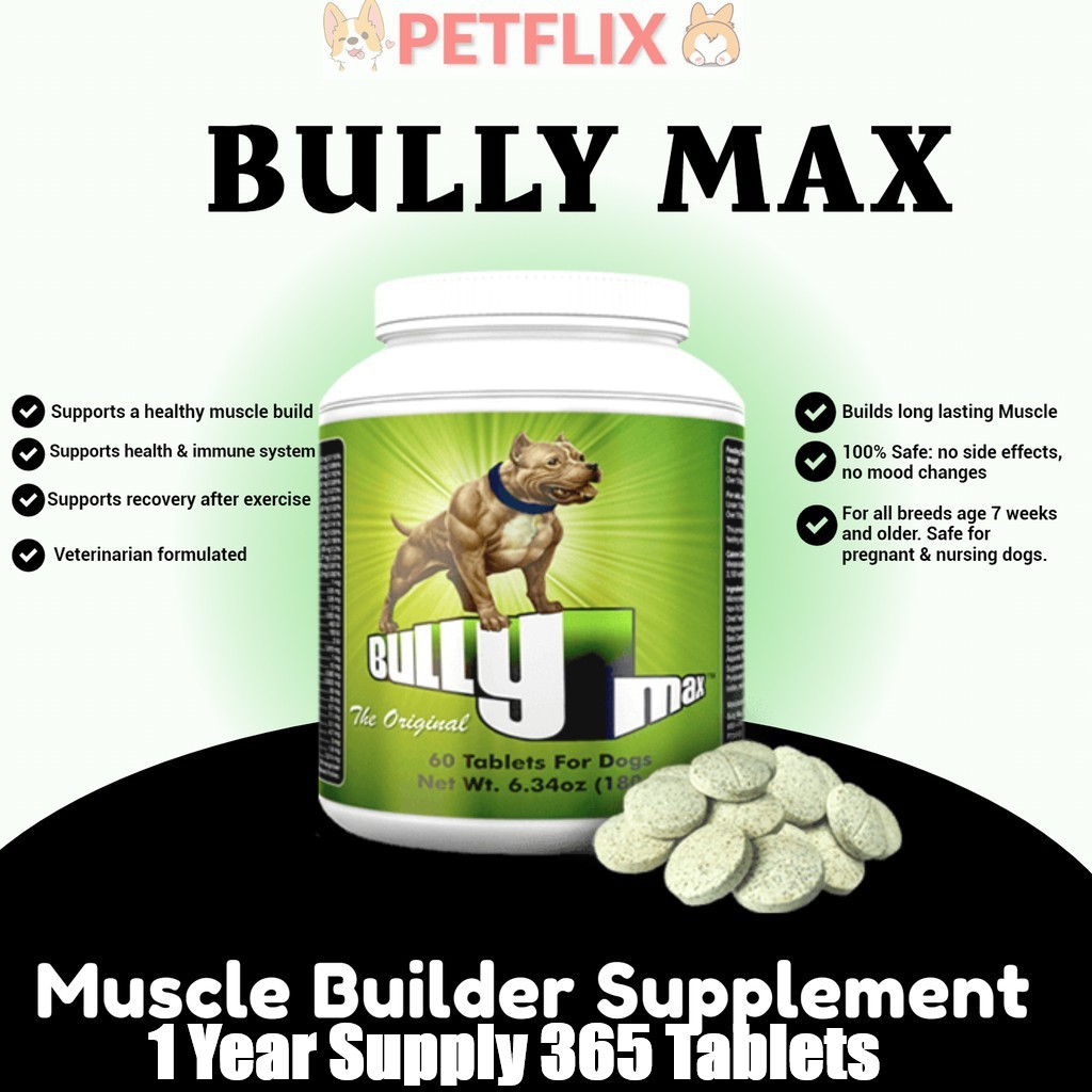 Can You Give Bully Max To A Pregnant Dog